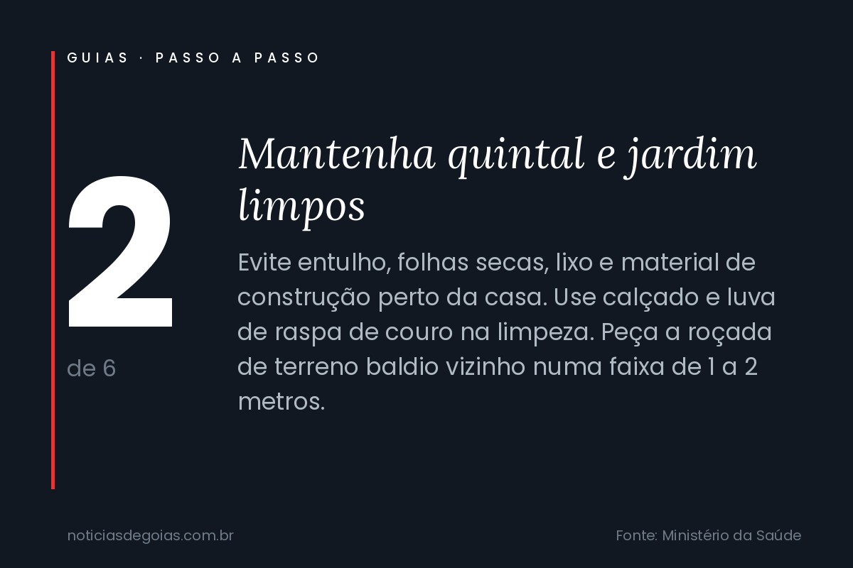 Arte do passo 2 sobre como evitar escorpi&atilde;o em casa