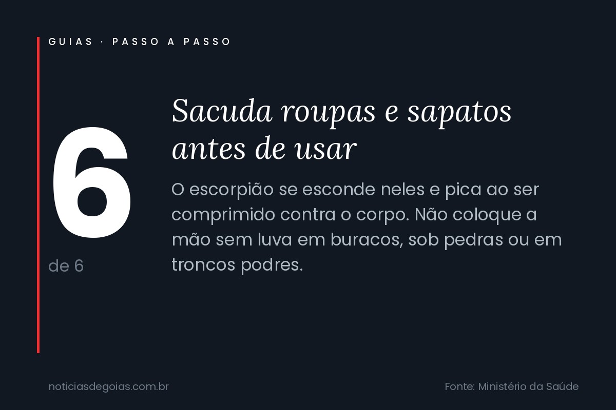 Arte do passo 6 sobre como evitar escorpi&atilde;o em casa