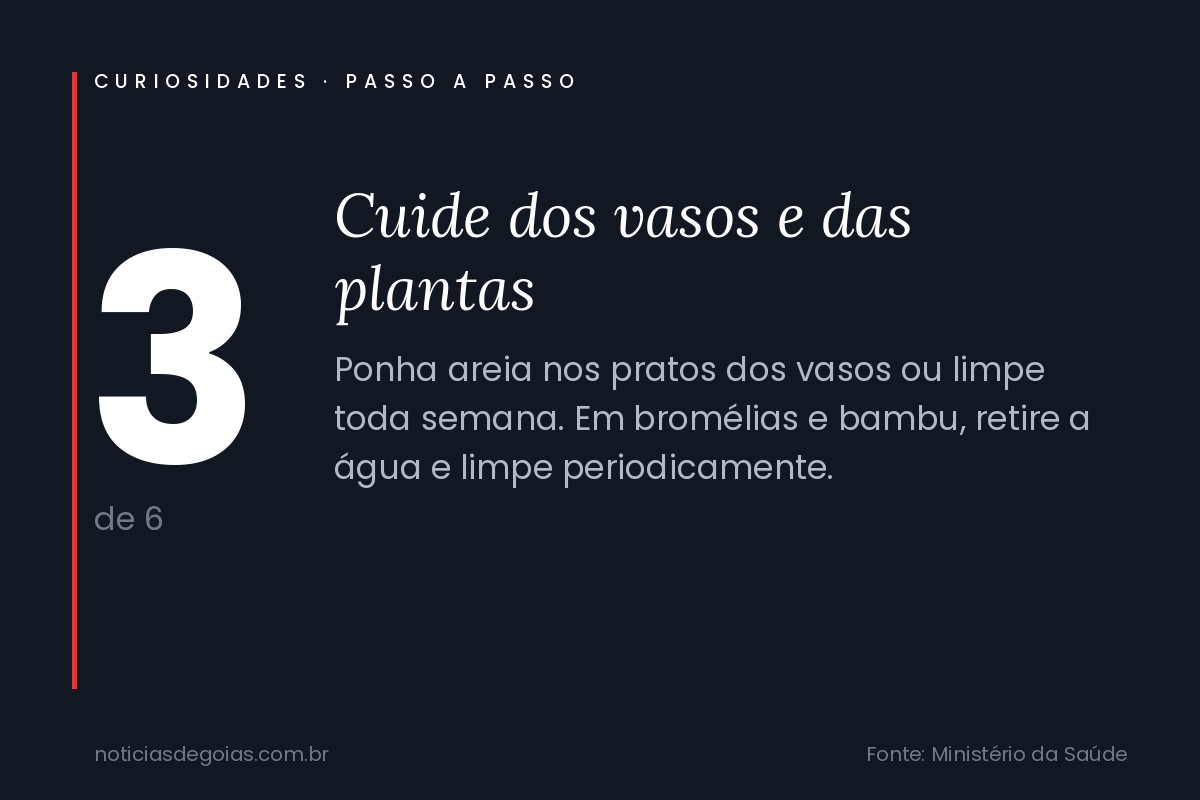 Passo 3 de 6 para eliminar criadouros do mosquito da dengue: cuidado com vasos e plantas