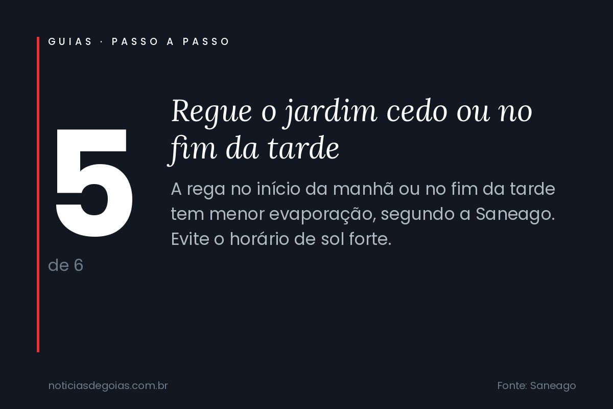 Arte com o passo 5 do guia: regar o jardim no in&iacute;cio da manh&atilde; ou no fim da tarde, quando a evapora&ccedil;&atilde;o &eacute; menor