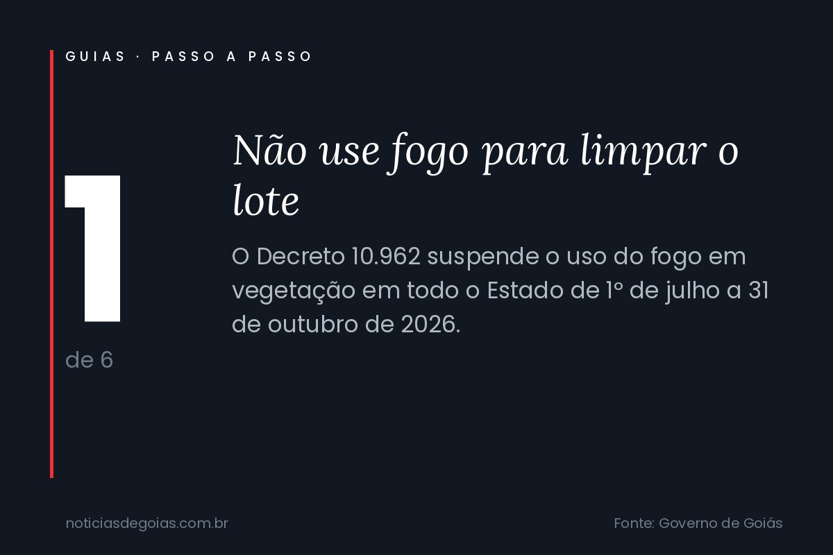 Arte do passo 1 do guia: não use fogo para limpar o lote