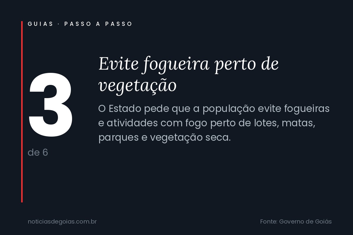 Arte do passo 3 do guia: evite fogueira perto de vegetação seca