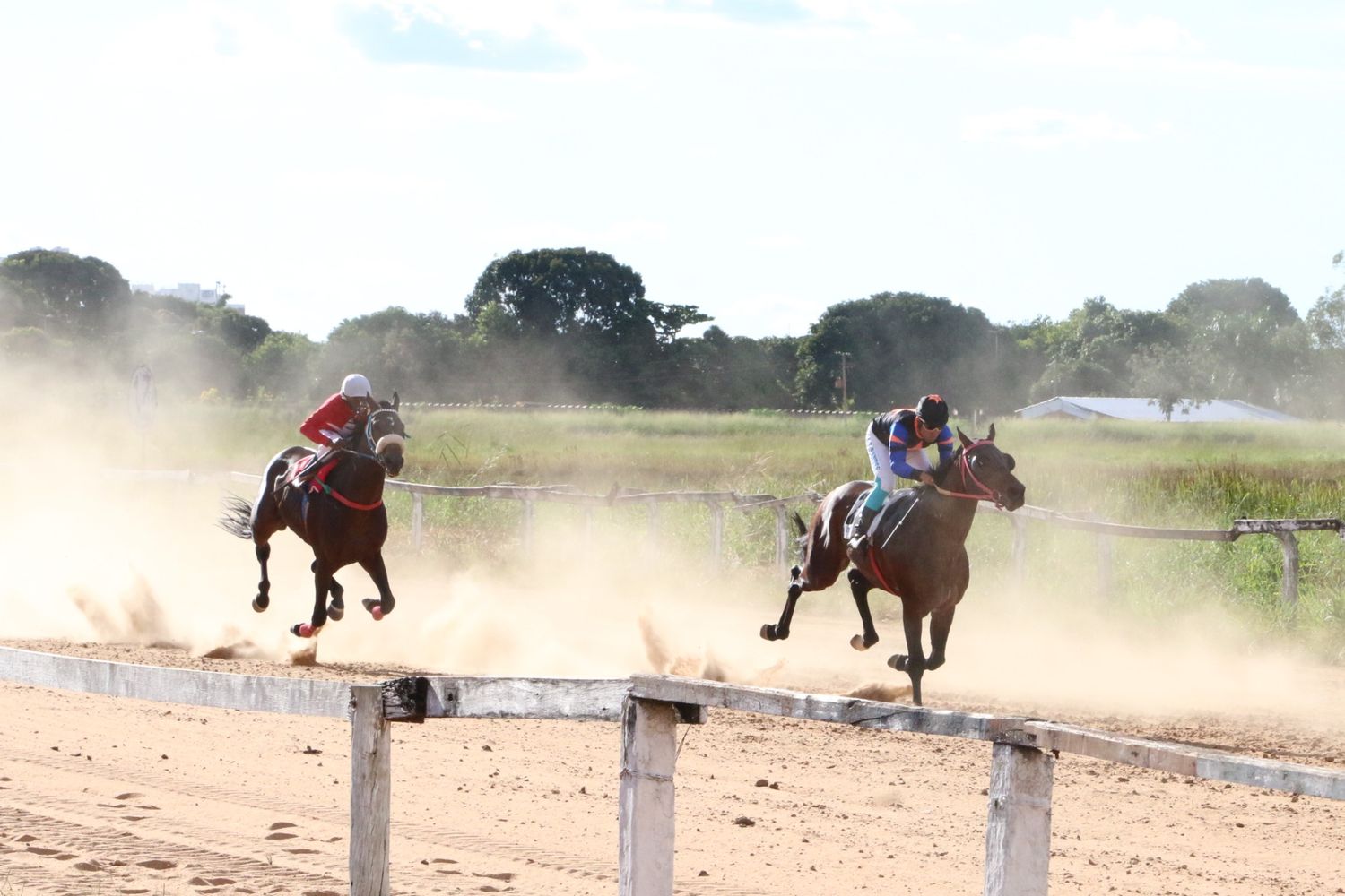 Dois cavalos e seus jóqueis disputam páreo em pista de areia, com poeira levantada