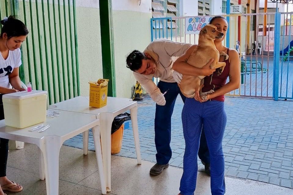 Tutora segura o cão durante a vacinação antirrábica em posto de Goiânia.