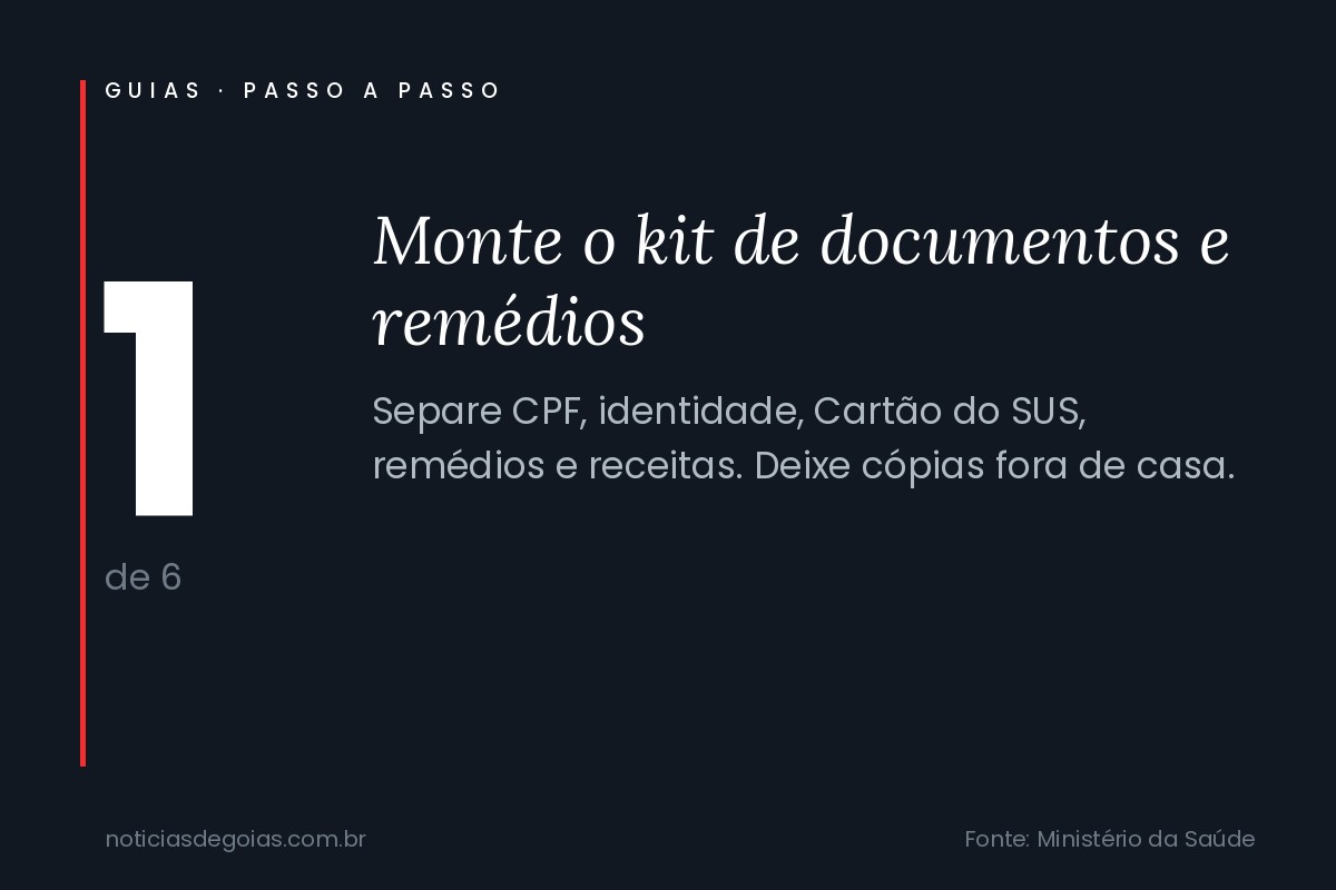 Passo 1 do guia: Monte o kit de documentos e rem&eacute;dios