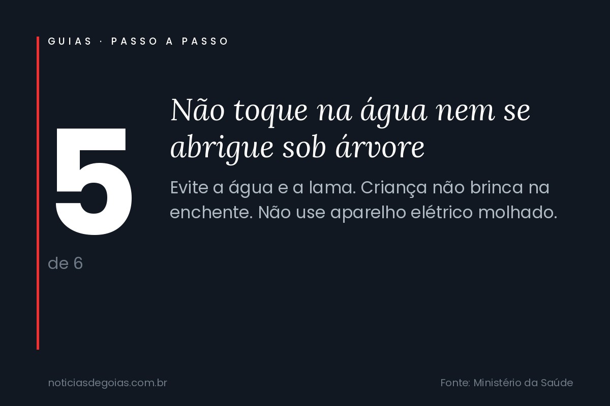 Passo 5 do guia: N&atilde;o toque na &aacute;gua nem se abrigue sob &aacute;rvore