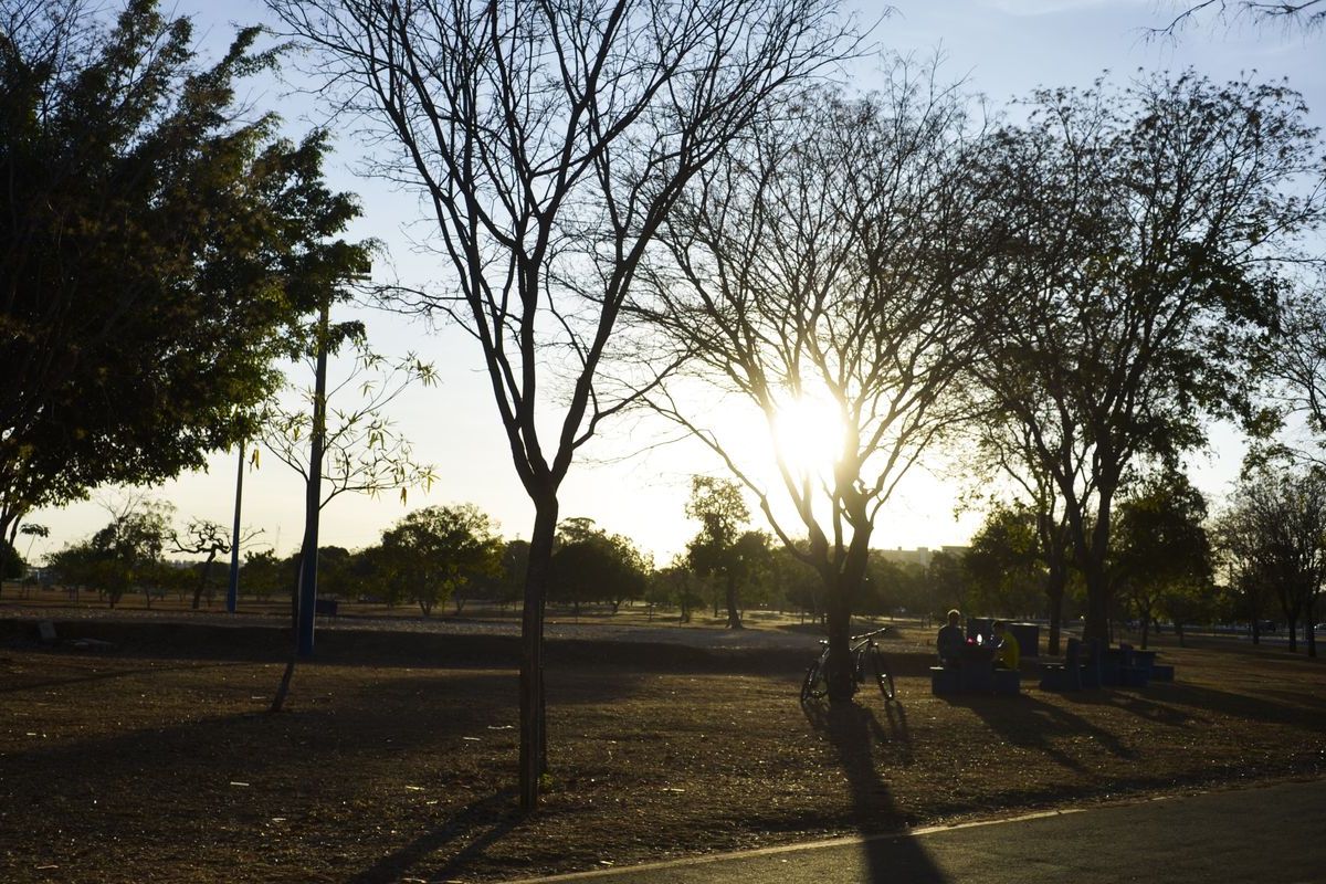 Árvores secas e sol baixo em dia de baixa umidade do ar