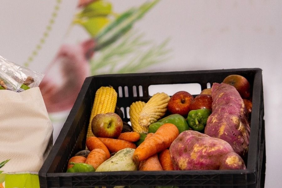 Caixa com frutas e legumes distribuídos pelo Banco de Alimentos da OVG