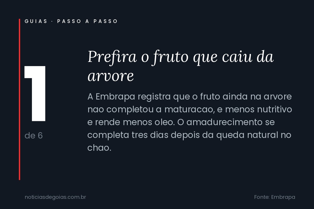 Arte do passo 1: Prefira o fruto que caiu da arvore