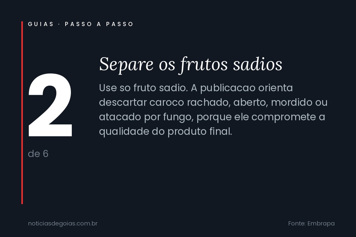 Arte do passo 2: Separe os frutos sadios
