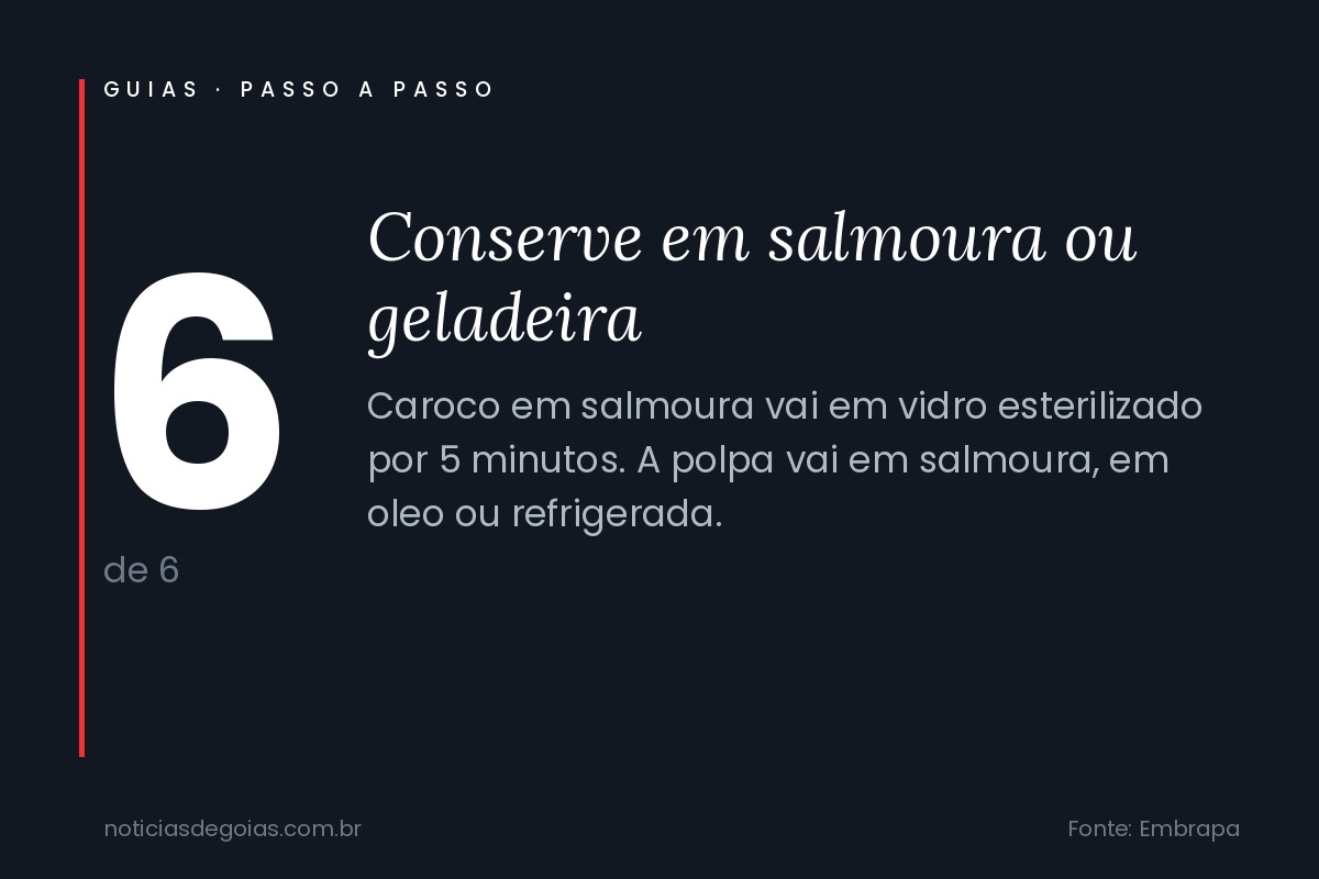 Arte do passo 6: Conserve em salmoura ou geladeira