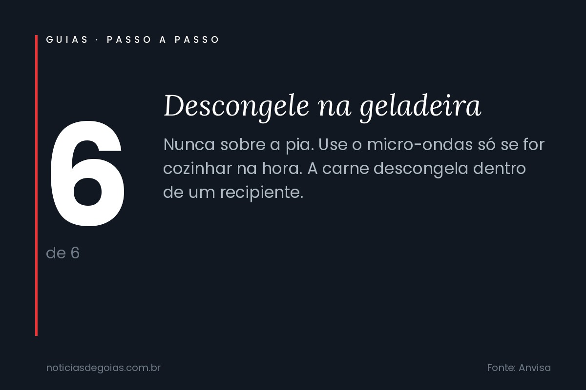 Passo 6 do guia: descongele na geladeira