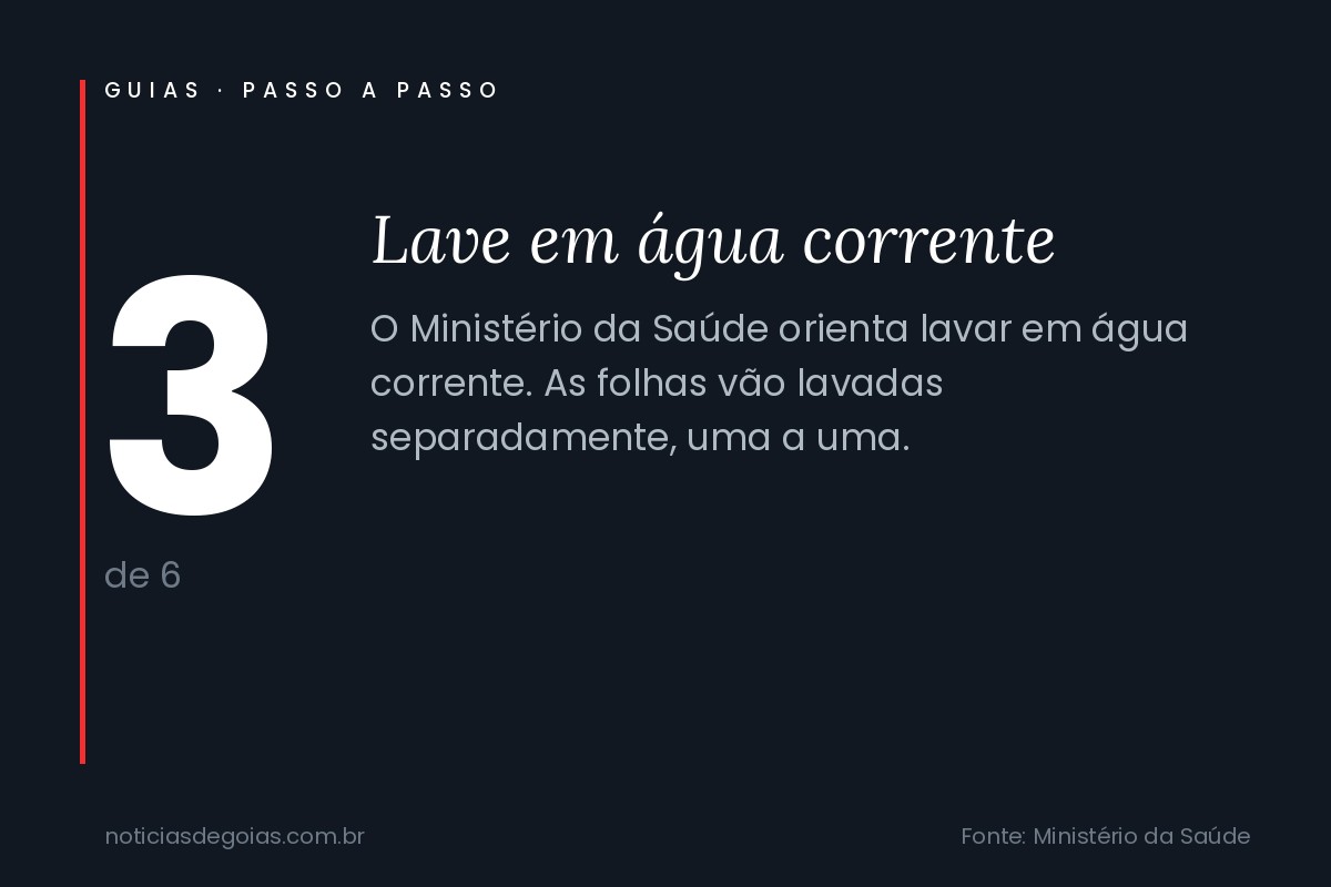 Arte do passo 3 da higienização de frutas e verduras: lave em água corrente