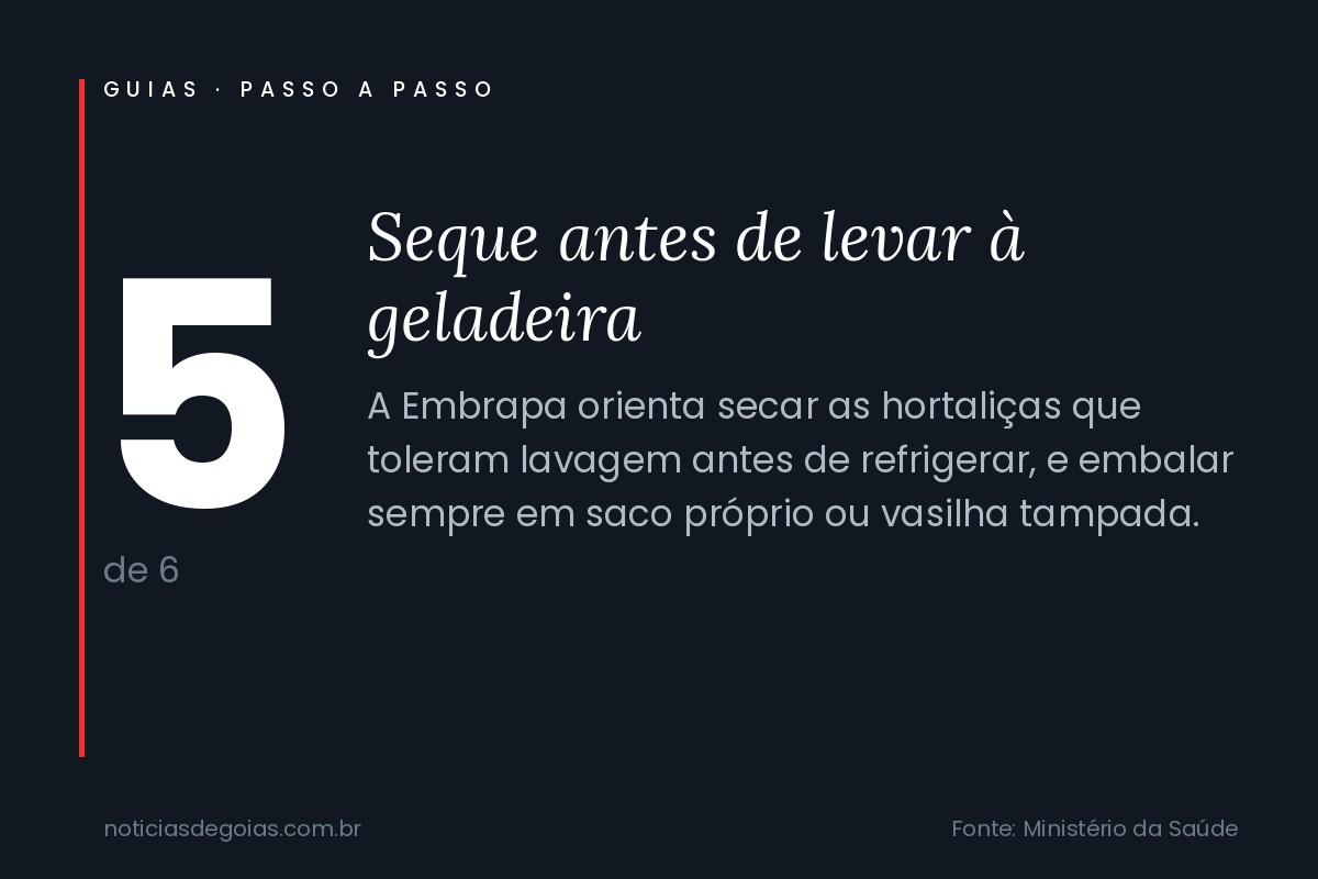 Arte do passo 5 da higienização de frutas e verduras: seque antes de levar à geladeira