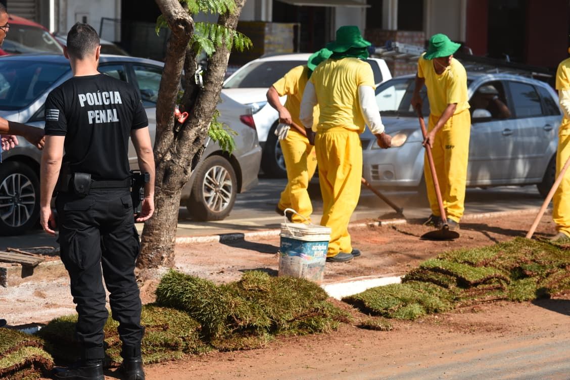 Trabalhadores fazem plantio de grama em canteiro central de avenida