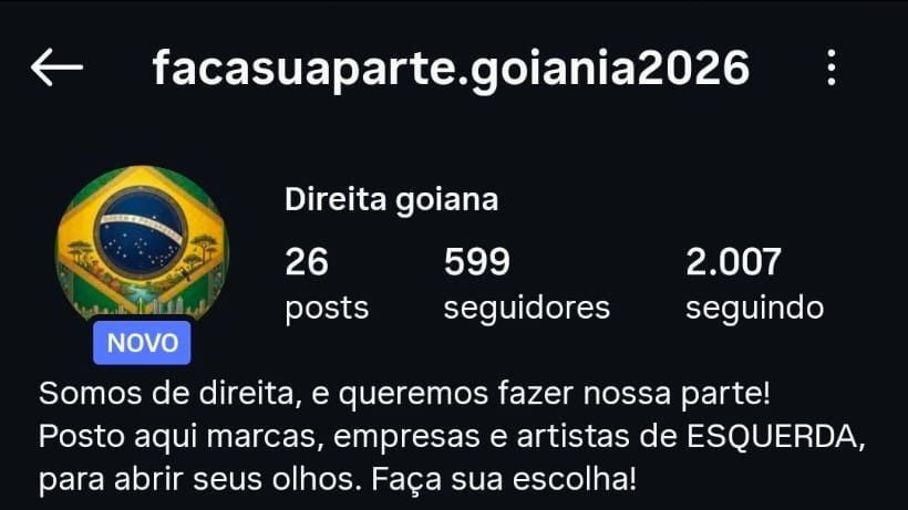 Captura de tela de perfil no Instagram chamado Direita goiana, com 26 publicações, 599 seguidores e biografia que diz postar marcas, empresas e artistas de esquerda